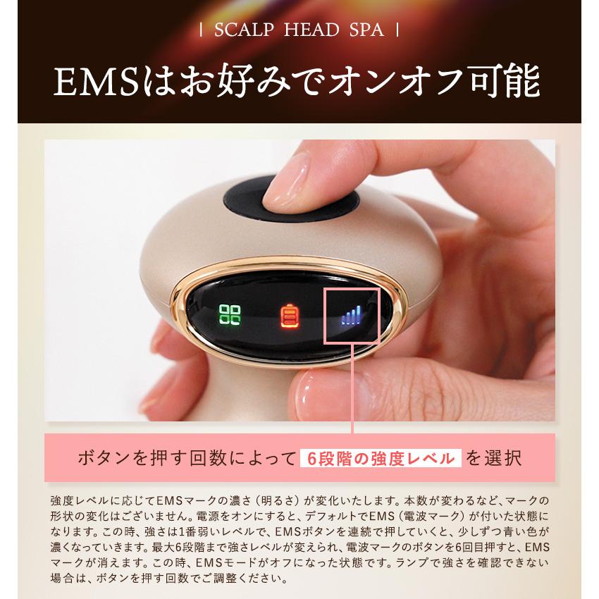 fuettarich（フエッタリッチ） スカルプ ヘッドスパ ems ブラシ 家電