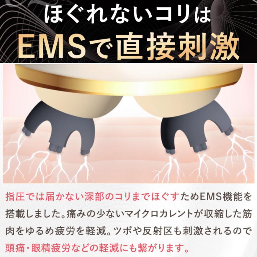 fuettarich（フエッタリッチ） スカルプ ヘッドスパ ems ブラシ 家電
