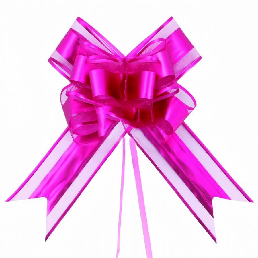 plusnao（プラスナオ） ラッピング用リボン ギフトリボン 10個セット