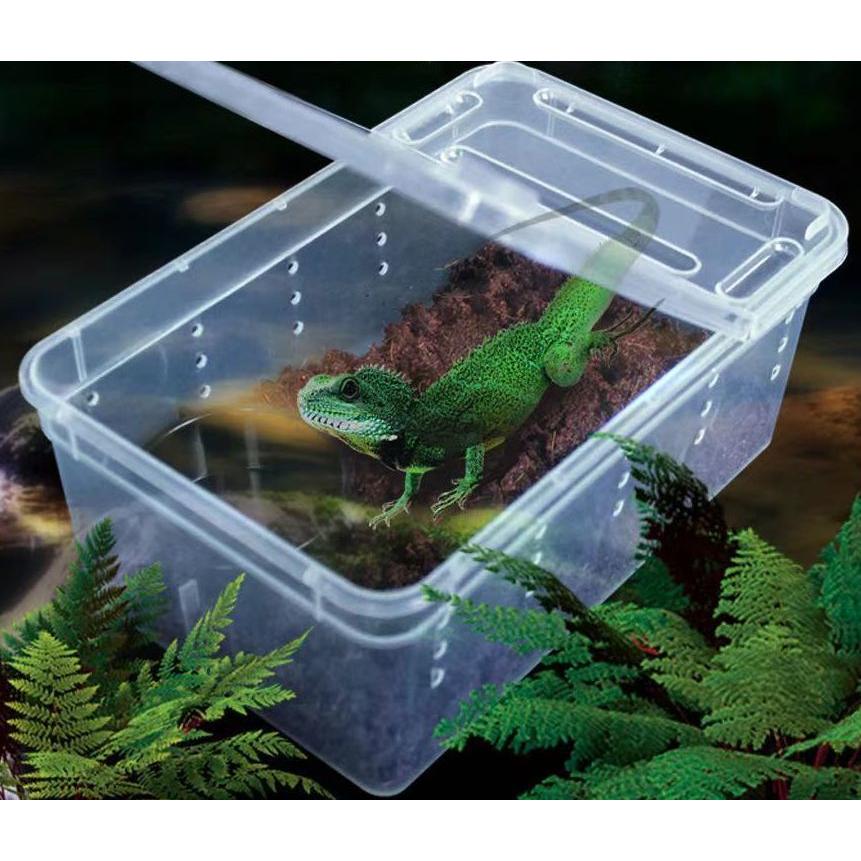 plusnao（プラスナオ） 飼育ケース 飼育ケージ 爬虫類用 両生類用