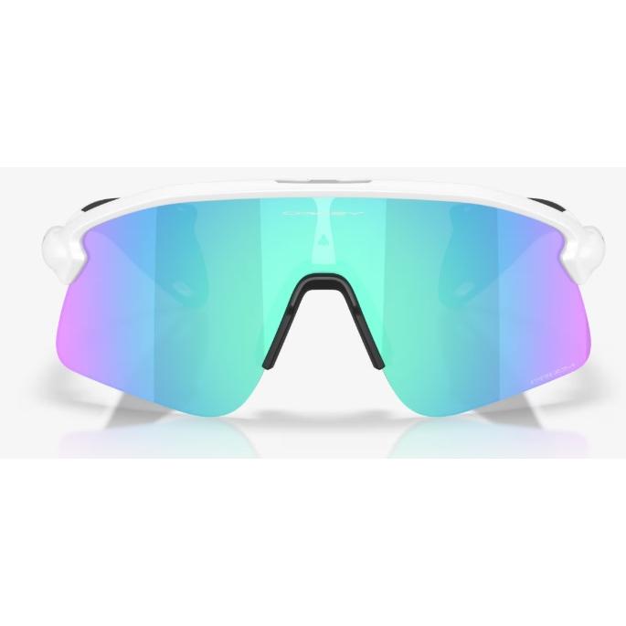OAKLEY（オークリー） 正規保証書(押印)付 OAKLEY STUNT DEVIL S