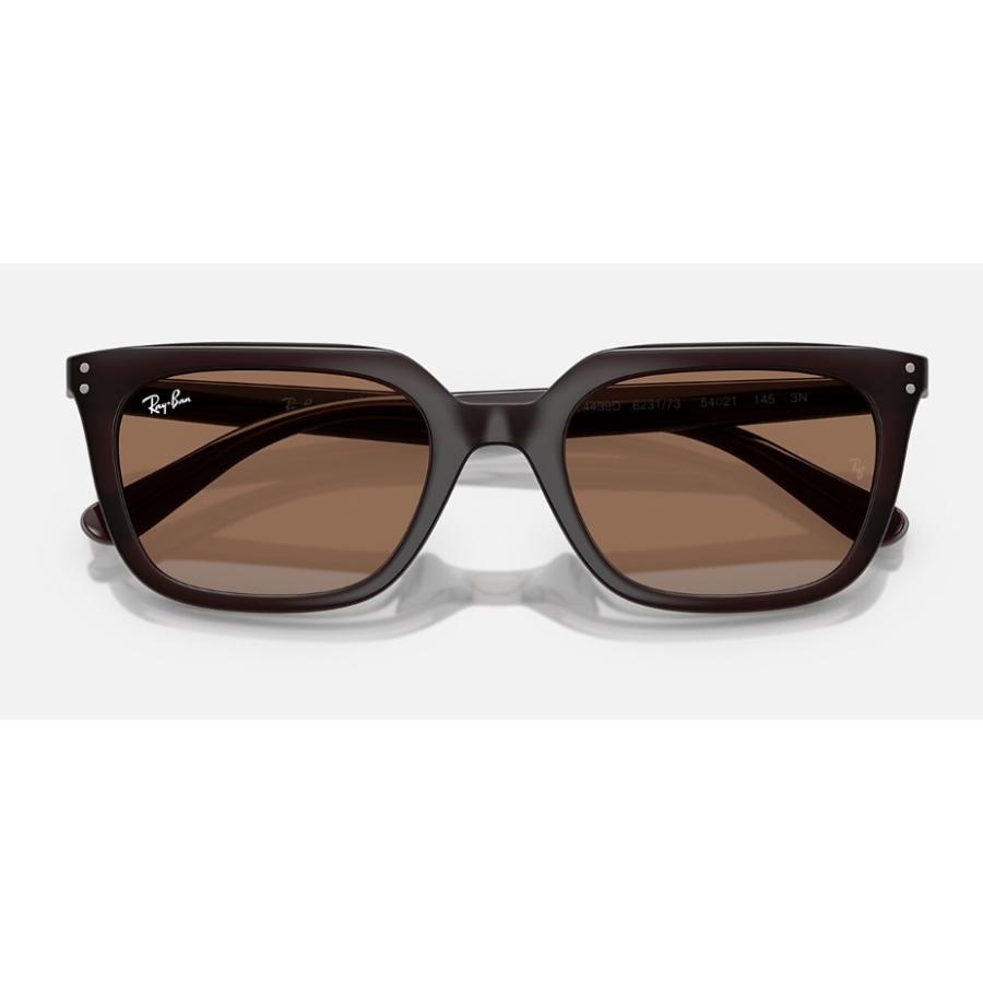 Ray-Ban（レイバン） 正規保証書(押印)付 Ray-Ban 4439D ( Low Bridge