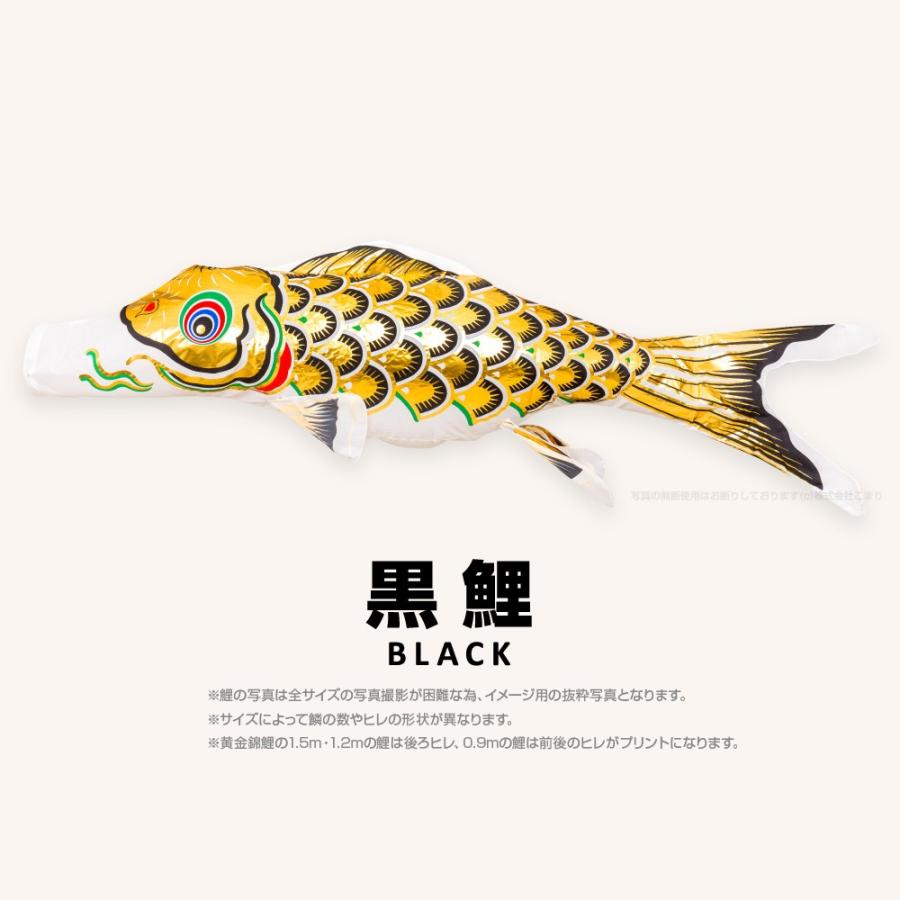 こいのぼり 単品 黄金錦鯉 5m 単品鯉 : 節句&ギフト専門店 ぷりふあ