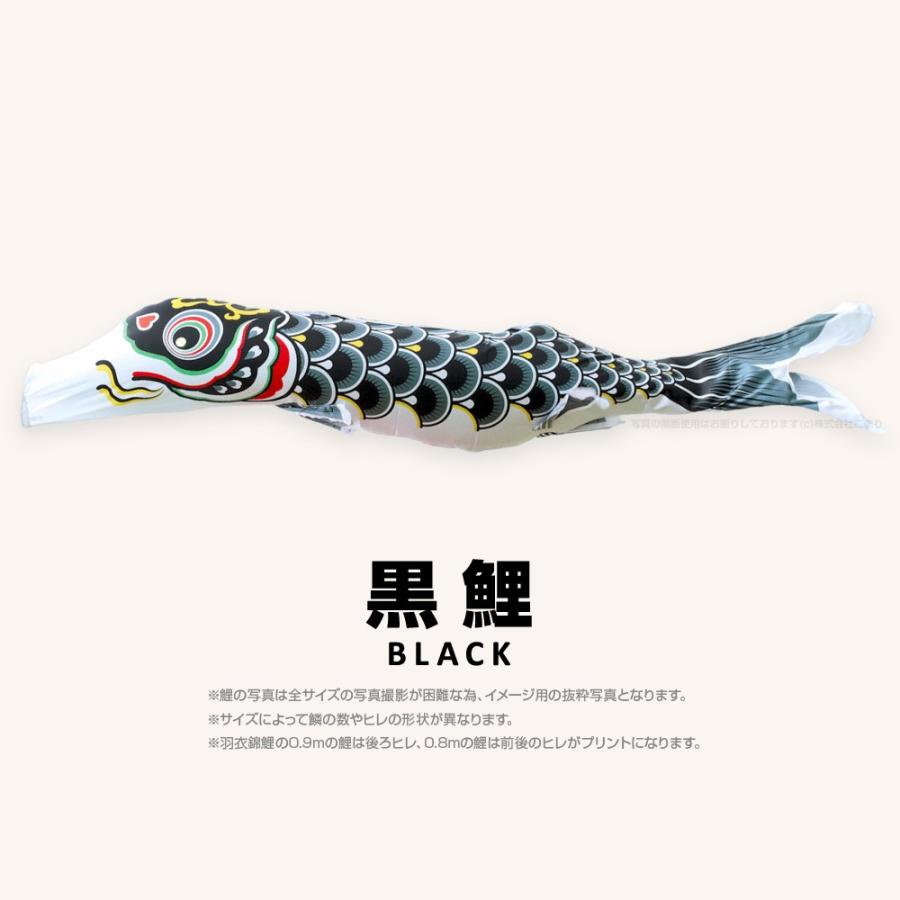 こいのぼり 単品 羽衣錦鯉 6m 単品鯉 : 節句&ギフト専門店 ぷりふあ