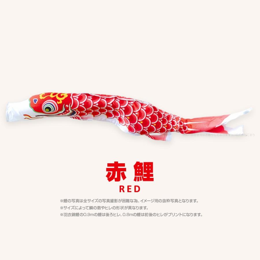 こいのぼり 単品 羽衣錦鯉 6m 単品鯉 : 節句&ギフト専門店 ぷりふあ