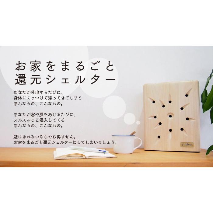 環境浄化装置 e-bless （イーブレス／プロッシュ） : プレマシャンティ