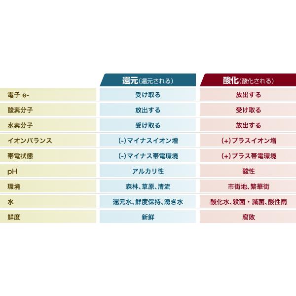 環境浄化装置 e-bless （イーブレス／プロッシュ） : プレマシャンティ