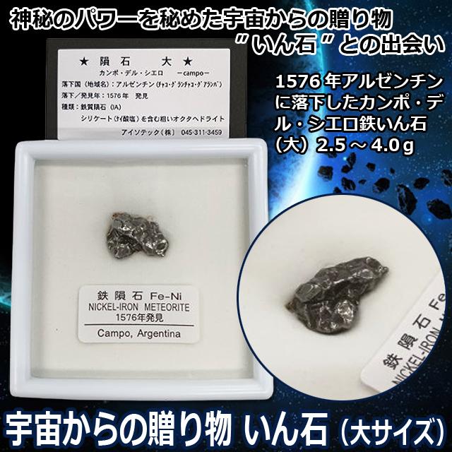 宇宙からの贈り物 いん石（大サイズ） 隕石 2.5-4.0gカンポ・デル