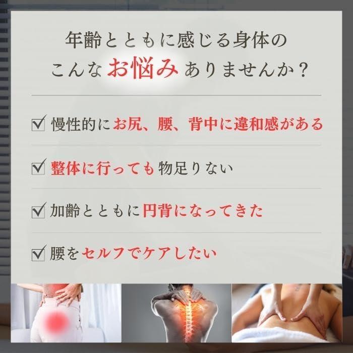 正規品】ペルビス 骨盤職人 PV01 木製 ツボ押し玉 骨盤矯正 肩甲骨