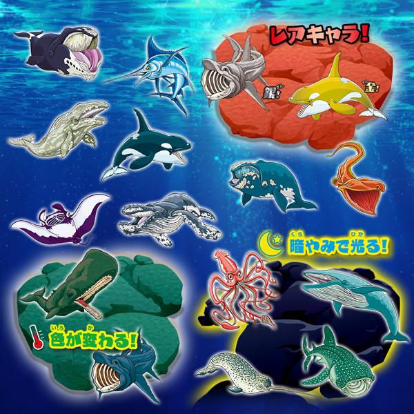 1袋】くじら＆Co.ビッグ (WHALES＆Co.ビッグ) : プライムワールド