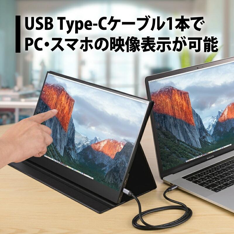 PRINCETON（プリンストン） 15.6インチ モバイルディスプレイ ブラック