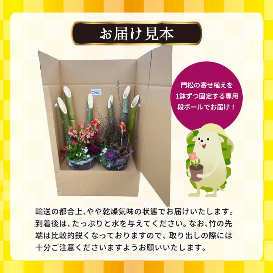 2個セット（一対）選べる門松『 お正月寄せ植え 』 正月飾り 門松