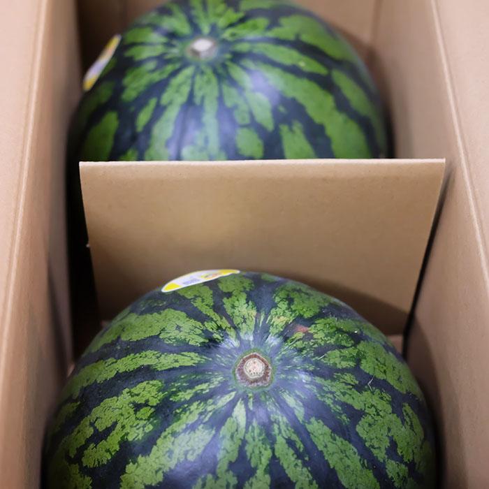 熊本県産 スイカ 秀品 L〜2Lサイズ 2玉入り（箱） 国産 果物 西瓜