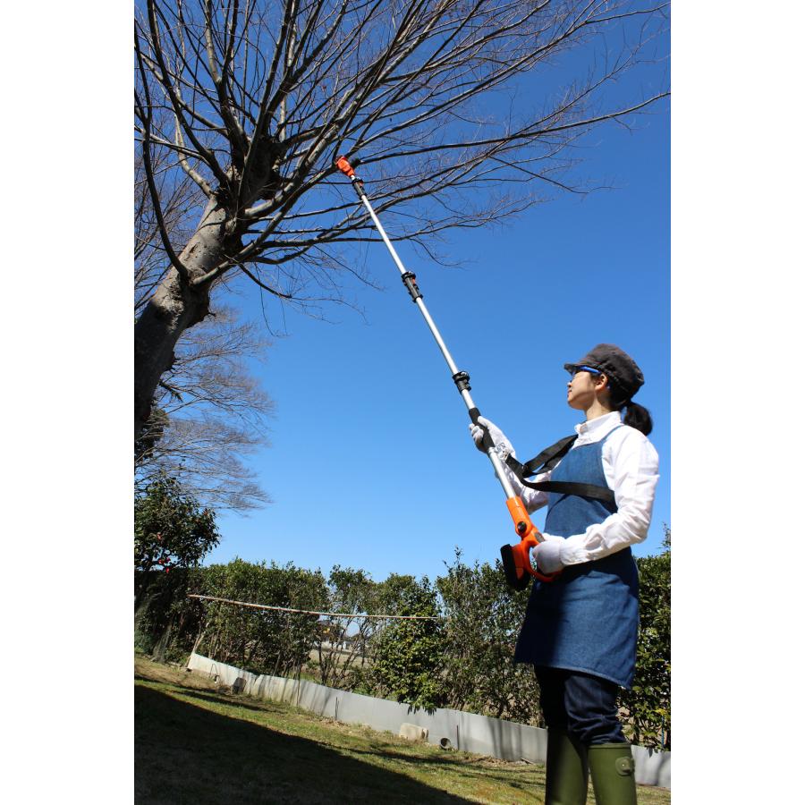 YARD FORCE（ヤードフォース） 【枝切り替刃4本入】 3m 24Vコードレス