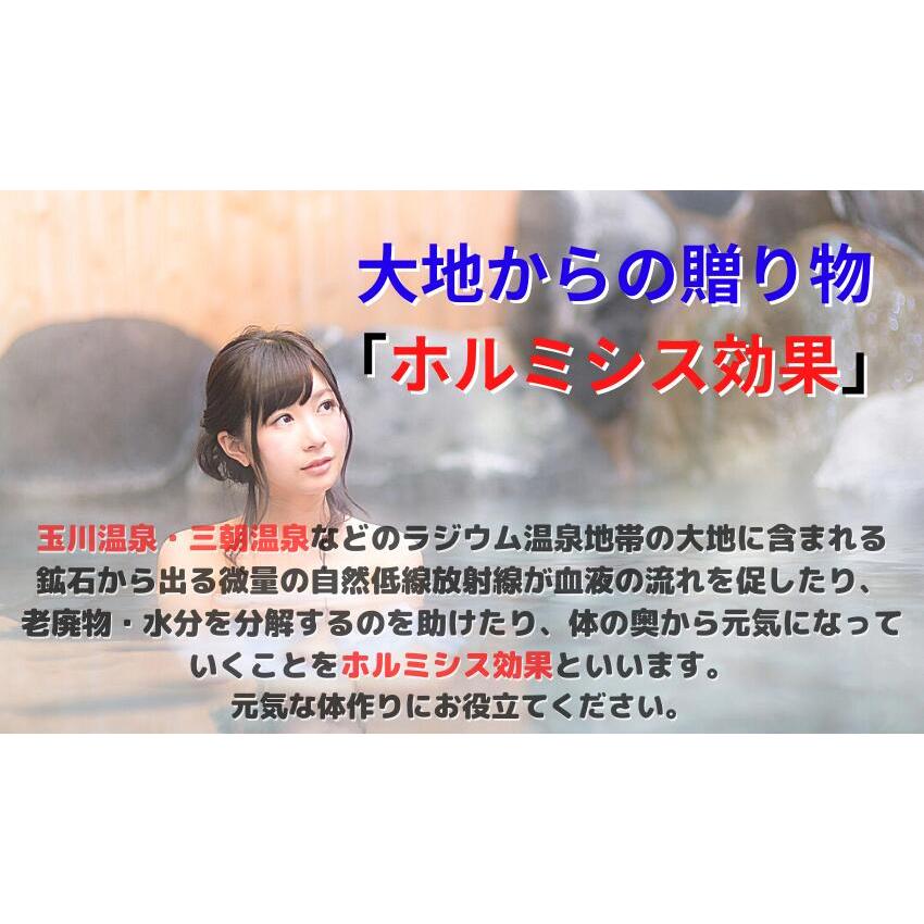 ほるみんの湯 お得なボトルタイプ ホルミシスパワー入浴剤 ラドン温浴