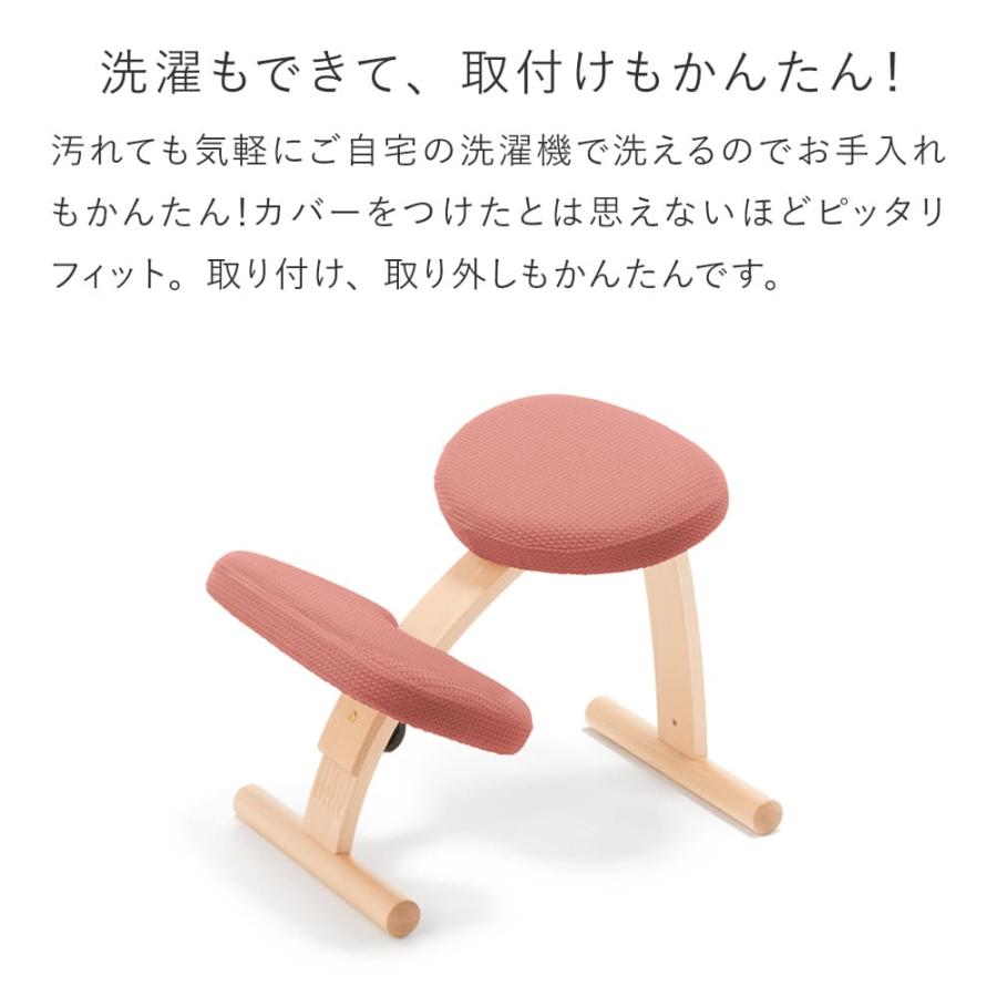 バランスラボ バランスチェア バランスチェアー バランスイージー