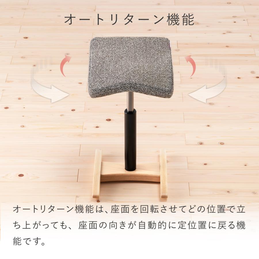 バランスラボ バランスチェア バランスシナジー オフィスチェア 腰痛