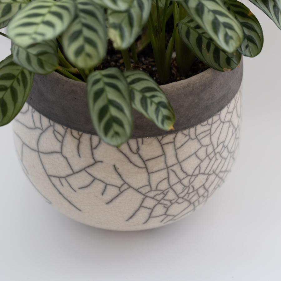 DOMANI Minsk ドマーニ ミンスク 20 パールホワイト 鉢カバー : S