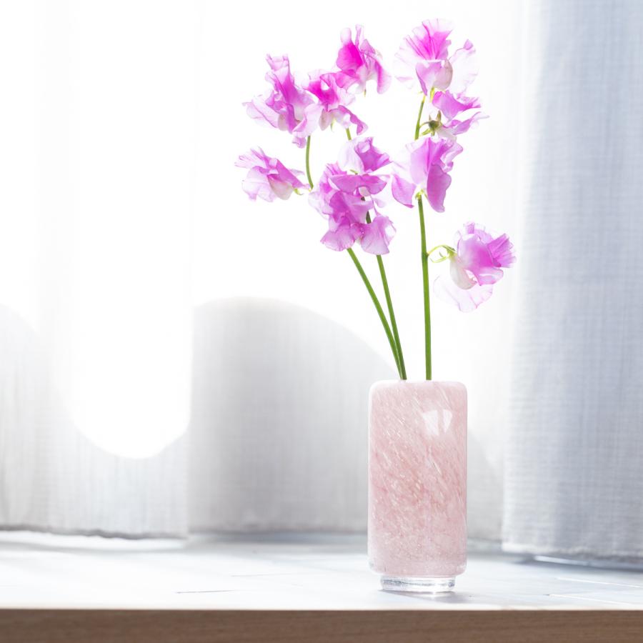 ヘンリーディーン V.fumiko high フミコハイ xxs ブロッサム Henry