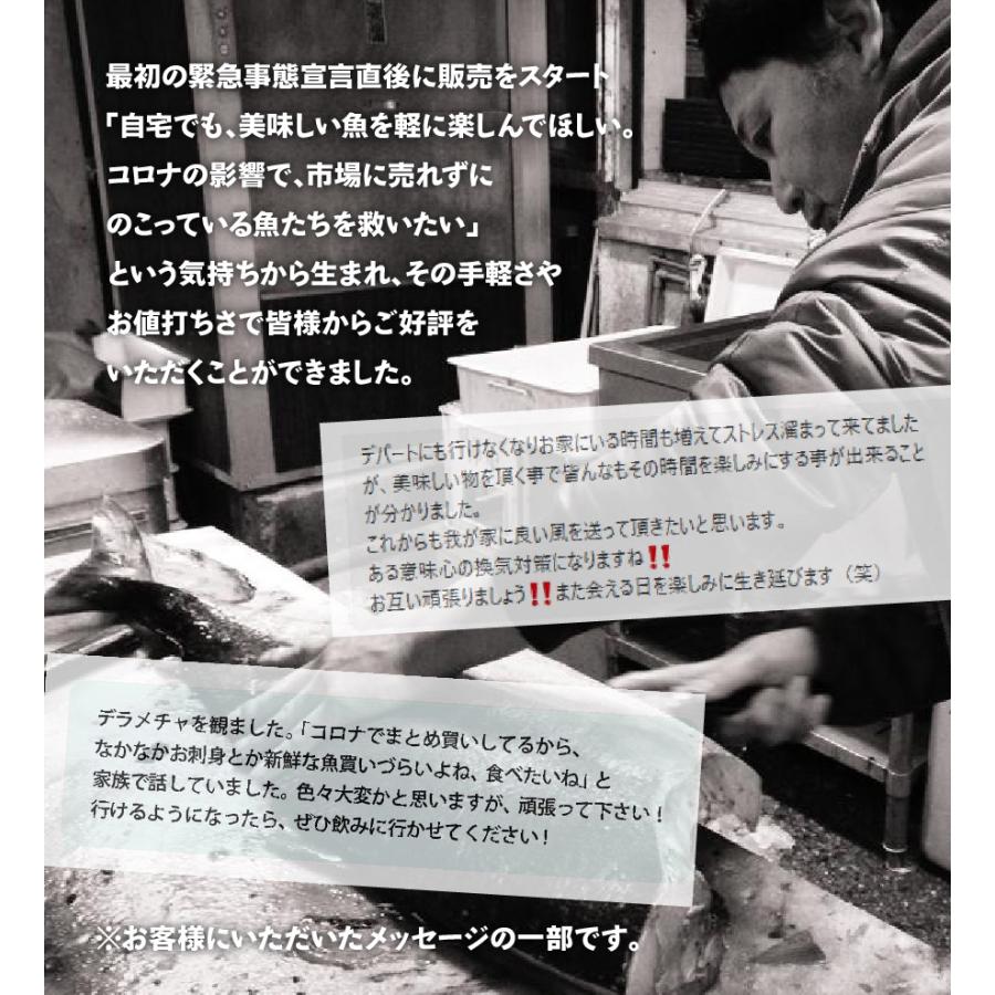 魚屋の森さん】☆送料無料 国産商品 おまかせ鮮魚BOX 鮮魚ボックス