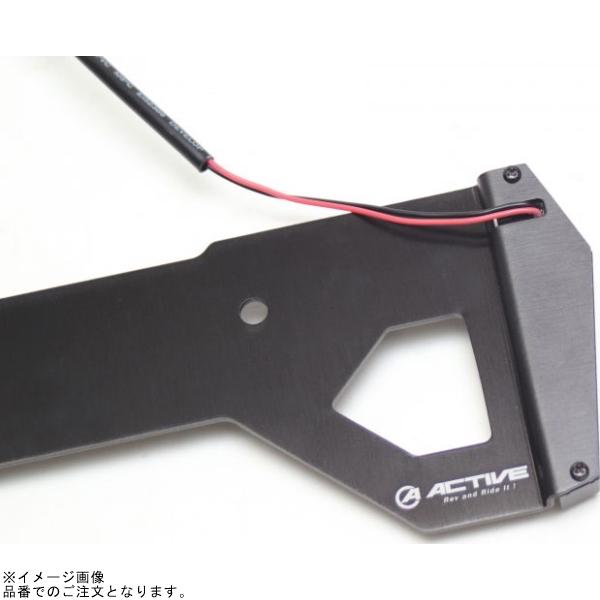 ACTIVE アクティブ 30100079 LEDナンバーサイドウインカー コンパクト