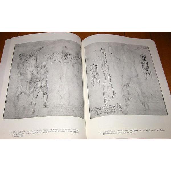 洋書画集 ミケランジェロ素描集ドローイング/ Michelangelo Life