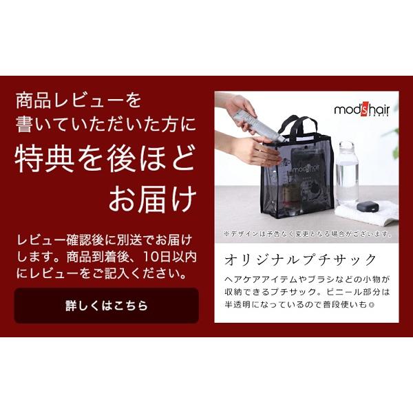 mod's hair（モッズヘア） 特典付［ アドバンス 3WAYツイスタイラー