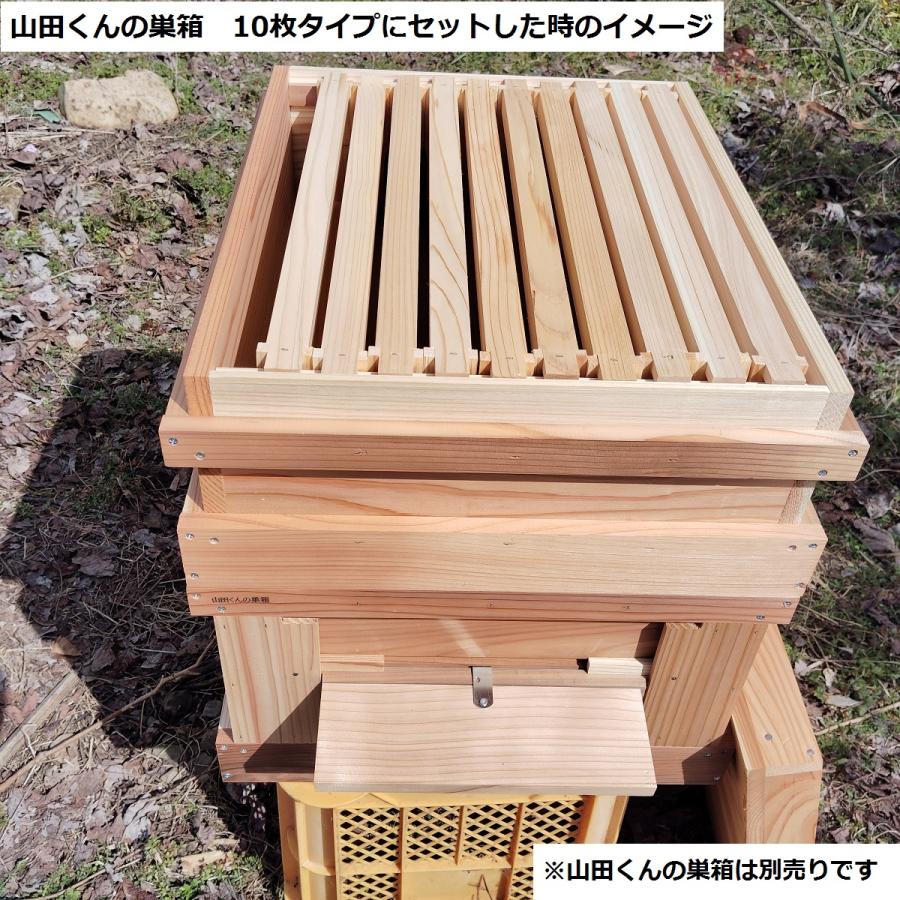 西洋ミツバチ 継箱ハーフサイズ10枚箱用 ハーフサイズ巣礎付き巣枠10枚