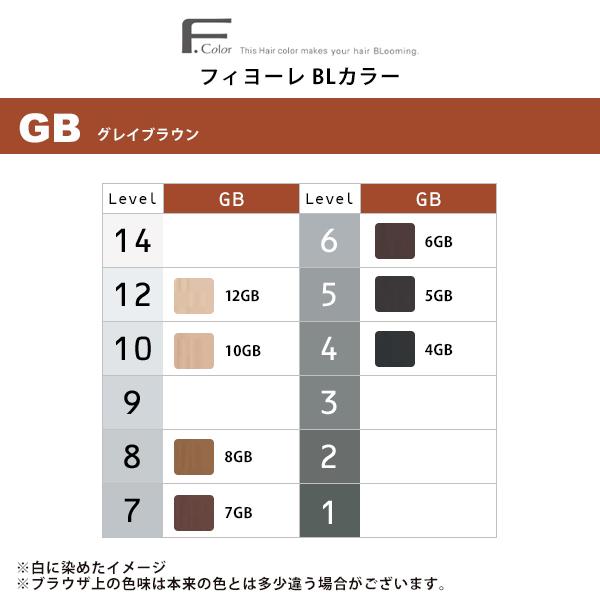 FIOLE（フィヨーレ） BLカラー 第1剤 グレイ ブラウン 120g|カラー剤