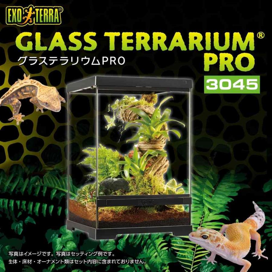 GEX（ジェックス） 【全国送料無料】 エキゾテラ グラステラリウムPRO