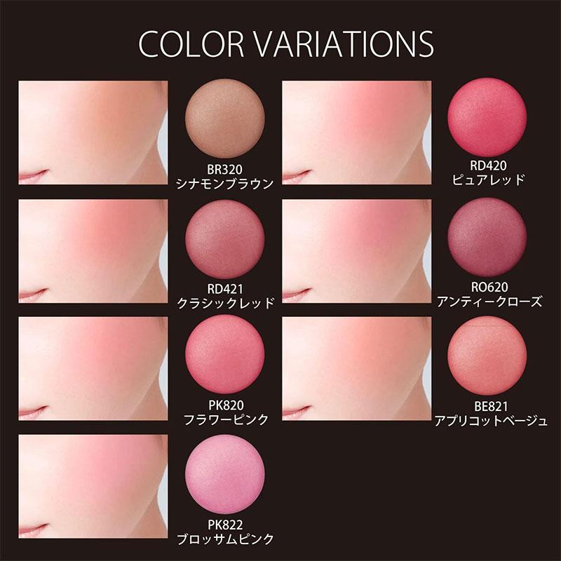 Visee コーセー ヴィセ リシェ フォギーオンチークス N PK822