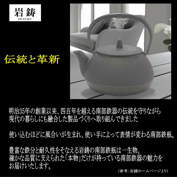鉄瓶兼用急須 5型新アラレ』満水650ml ガス・IH対応 南部鉄器 日本製