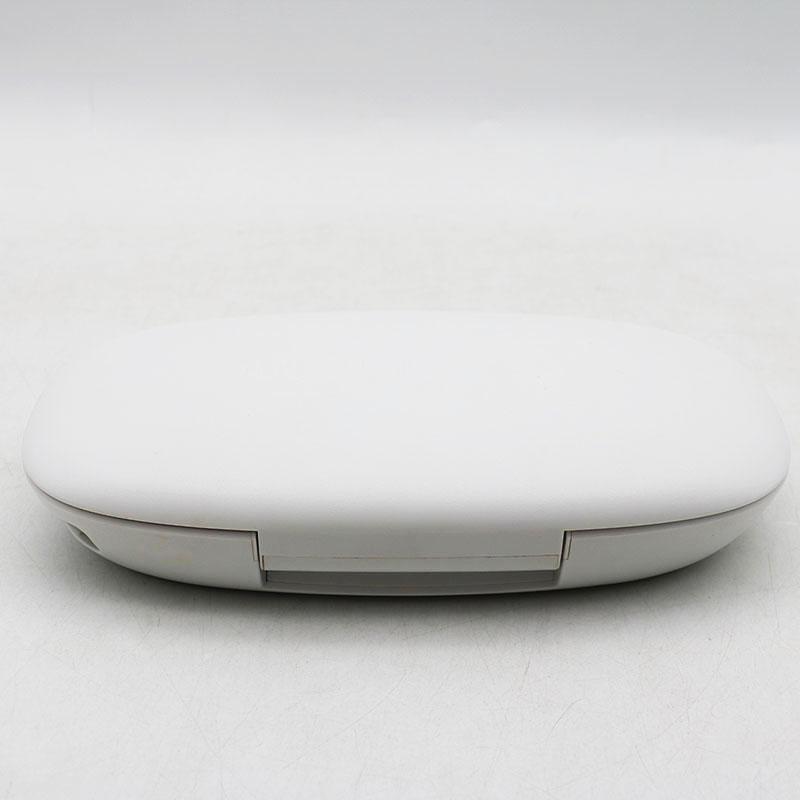 ホーマーイオン研究所 スキンコンディショナー モイスティーヌIV 美顔