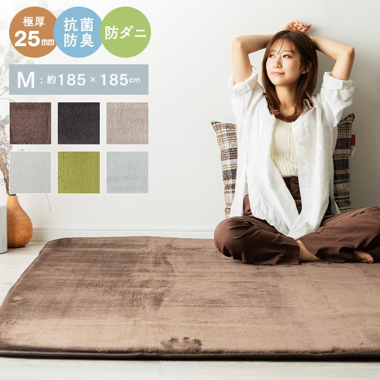 洗える オールシーズン 極厚ラグ 185×185 2畳 厚み25mm 防ダニ 抗菌