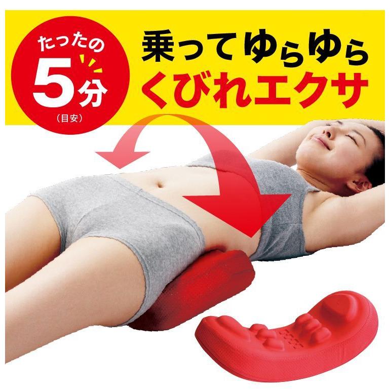 福辻式 寝ながら 骨盤 シェイプ 枕 DX エクササイズ 自宅 腰痛 姿勢