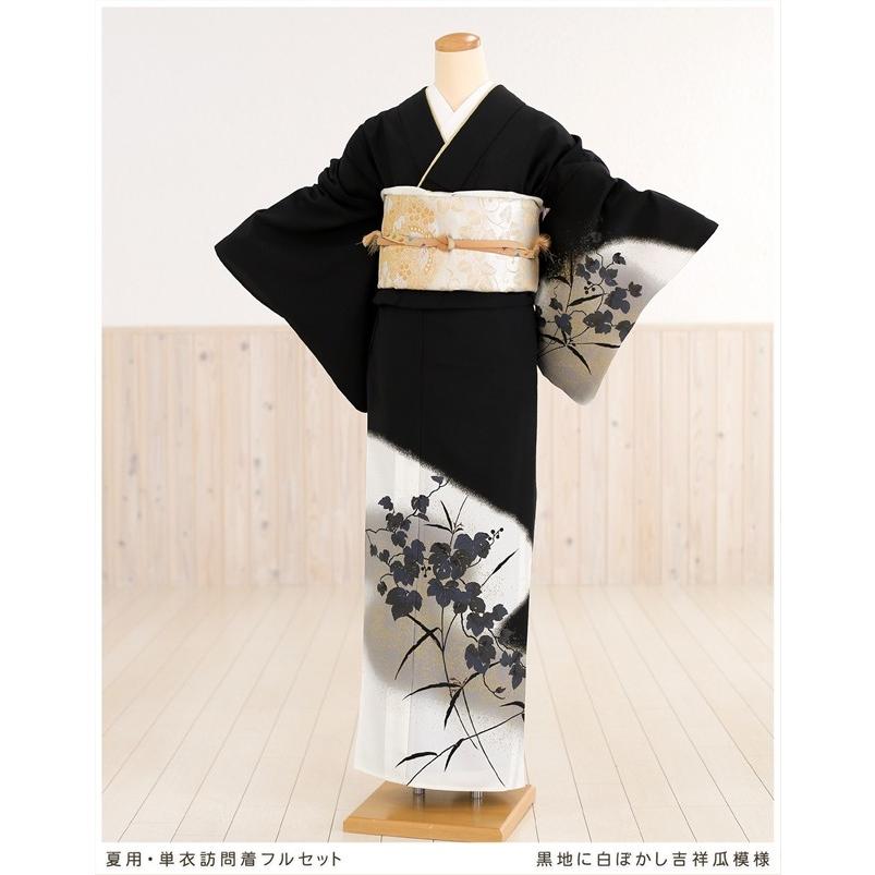 夏用 訪問着レンタル 単衣 sh1006 結婚式 七五三 お宮参り 着物