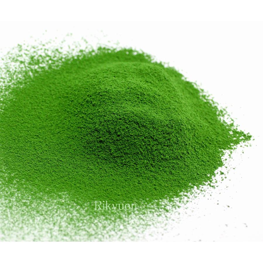 抹茶 宇治 丸久小山園 初の森 100g 袋（はつのもり）遠州流 不傳庵