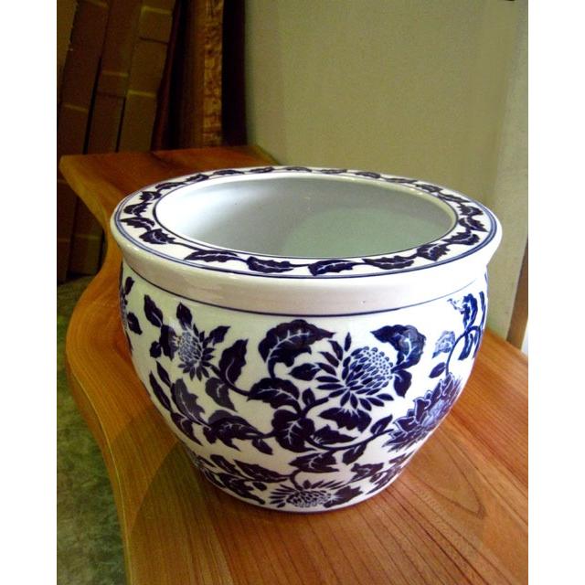 水鉢 睡蓮鉢 陶器 めだか鉢 ハス鉢 浮彫魚缶白 洋蓮 中 10号