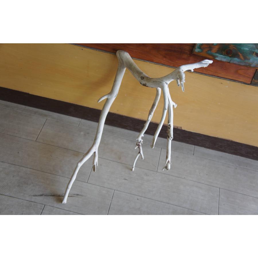 流木 大型サイズ インテリア オブジェ 爬虫類 小動物 登り木