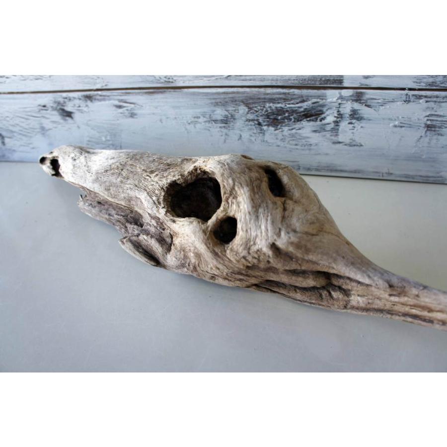 流木 爬虫類 登り木 あく抜き処理 煮沸消毒済 トカゲ ヤモリ ケージ