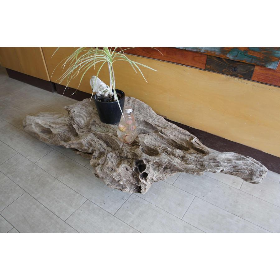 インテリア オブジェ おしゃれ 爬虫類 登り木 流木 レイアウト