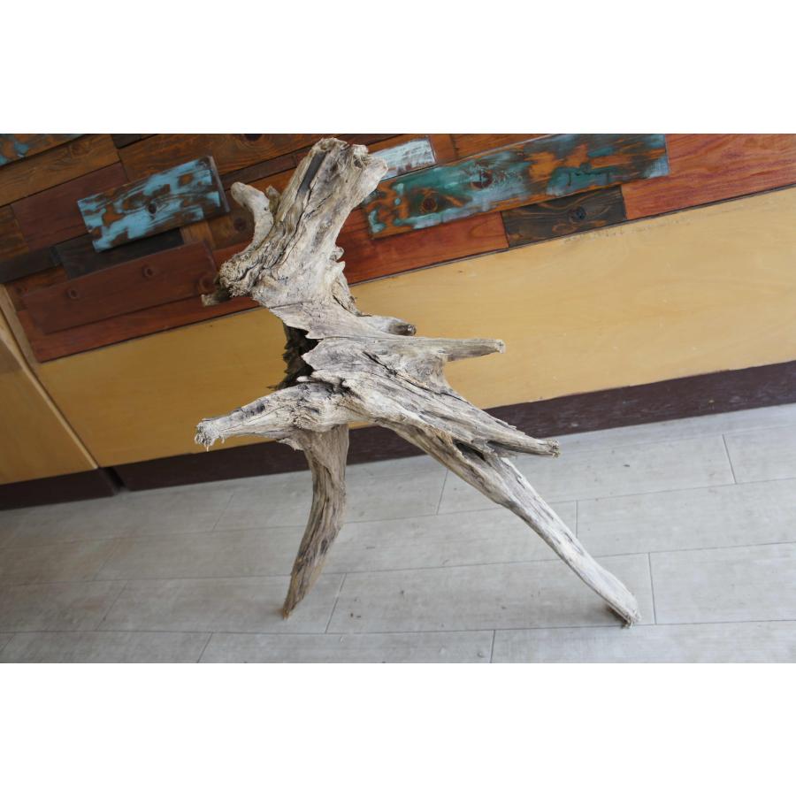 インテリア オブジェ おしゃれ 爬虫類 登り 木 流木 レイアウト