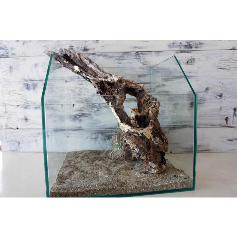 流木 爬虫類 登り木 あく抜き処理 煮沸消毒済 トカゲ ヤモリ ケージ