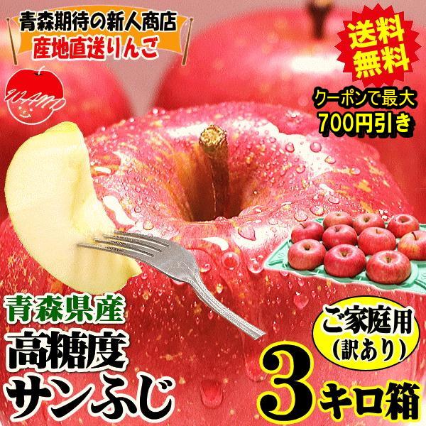 セール！りんご 3kg箱 青森 リンゴ 訳あり/家庭用 サンふじ 送料無料