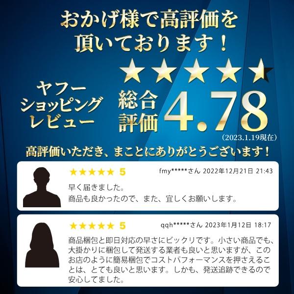 SWIX スウィックス ダイヤモンドストーン 100mm スキー スノーボード