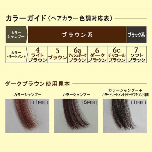 テンスター カラーシャンプー ダークブラウン 300mL : webby shop