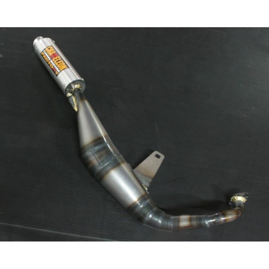 CHAMELEON FACTORY（カメレオンファクトリー） パラライザーIII