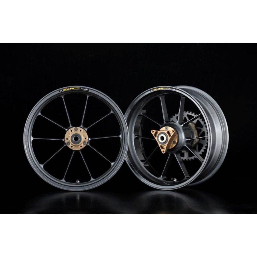 ADVANTAGE（アドバンテージ） EXACT RACING 10 フル鍛造マグネシウム