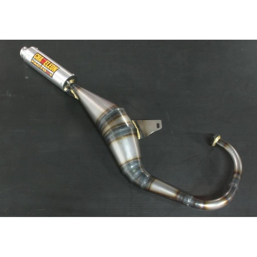 CHAMELEON FACTORY（カメレオンファクトリー） パラライザーIII