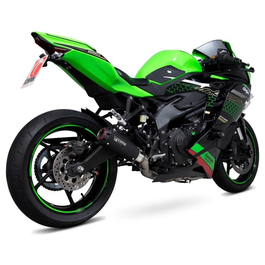 SCORPION スコーピオン レッドパワー フルエキゾーストマフラー タイプ